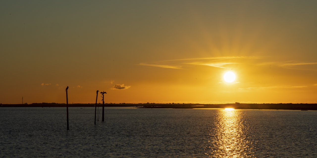 Umgebung der OÁSIS - Ferienhaus